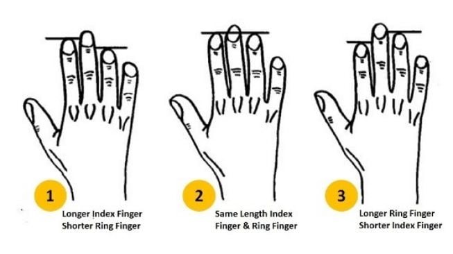 Tes Kepribadian: Cari Tahu Sifat Diri Sendiri dari Bentuk Jari