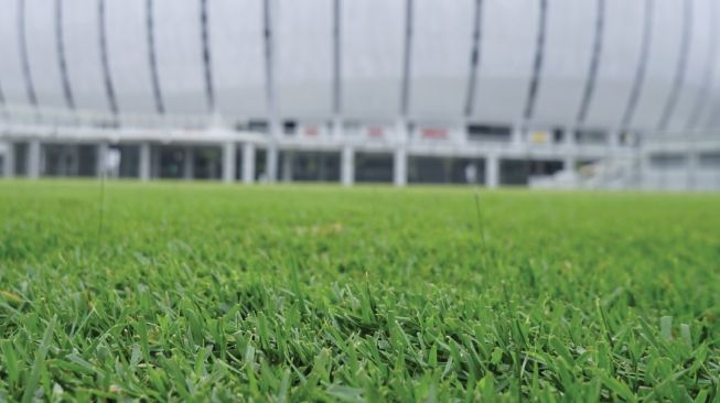 Ribut Renovasi, Ini Bedanya Rumput JIS dan Standar FIFA