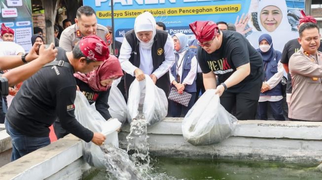 Bermanfaat untuk Cegah Stunting, Gubernur Khofifah Dorong Peningkatan Budidaya Ikan Lele