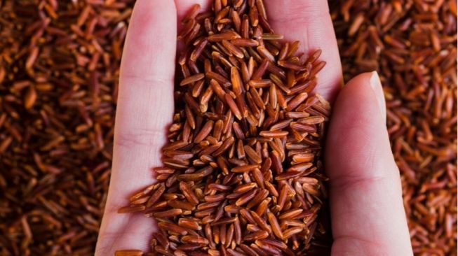 5 Alternatif Makanan Pengganti Beras Putih bagi Penderita Diabetes Melitus