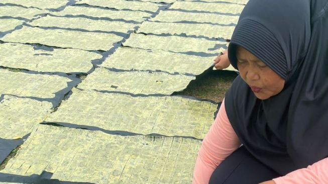 Buka Lapangan Kerja Lewat Produksi Camilan, Ibu-ibu di Sumut Diajarkan Cara Membuat Opak dari Ubi Kayu