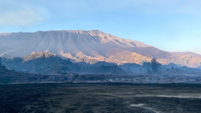 4 Rekomendasi Tempat Wisata Malang yang Wajib Dikunjungi, Mulai dari Alam hingga Kekinian