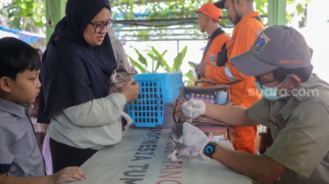 Petugas memasukan dosis vaksin rabies untuk disuntikan ke kucing di Kantor Kelurahan Manggarai Selatan, Jakarta Selatan, Senin (10/7/2023). [Suara.com/Alfian Winanto]