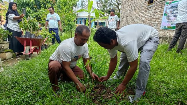 Ratusan Bibit Alpukat Madu Disebar ke 12 Desa di OKU Timur