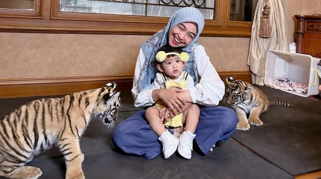 Gemasnya Baby Moana Main Bareng Anak Harimau, Netizen: Titisan Bu Icis