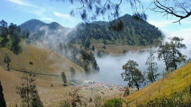 Daya Tarik Ranu Kumbolo, Jadi Spot Favorit Camping Para Pendaki di Semeru