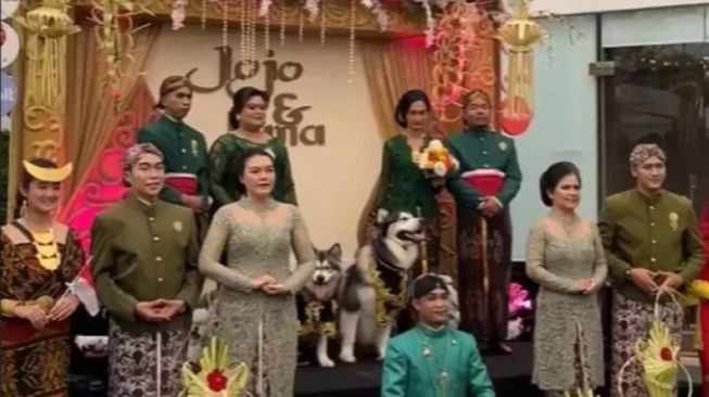 5 Fakta 'Mindblowing' Pernikahan Anjing Crazy Rich PIK Senilai Rp 200 Juta