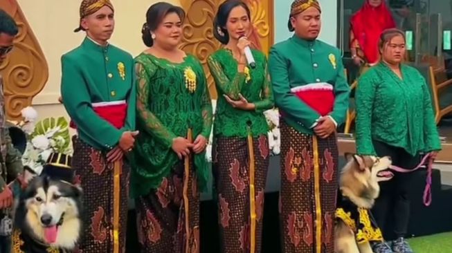 Minta Maaf Gegara Gelar Pernikahan Anjing Pakai Adat Jawa, Pemilik Jojo dan Luna Dibela Netizen