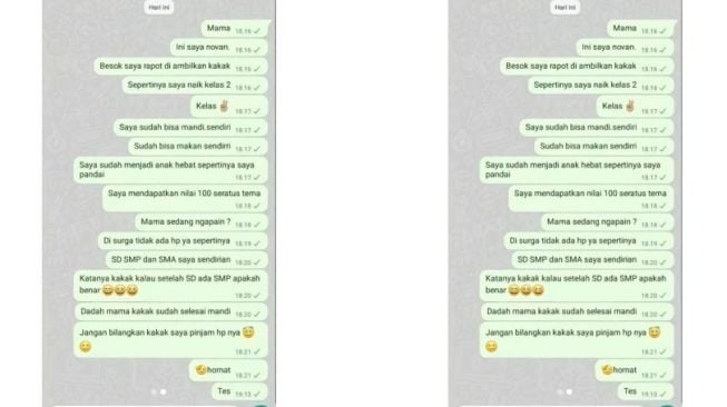 Diam-diam Chat Nomor WA Mendiang Ibunya, Curhatan Sang Anak Bikin Air Mata Meleleh: Geter ke Hati Bacanya