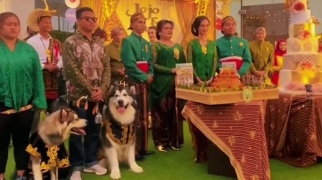 Organisasi Budaya DIY Kecam Pernikahan Anjing, Siap Bawa ke Ranah Hukum