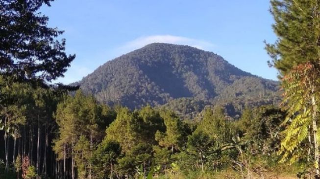 Gunung Bukit Tunggul, Tempat Wisata Alam Cocok untuk Refreshing di Lembang