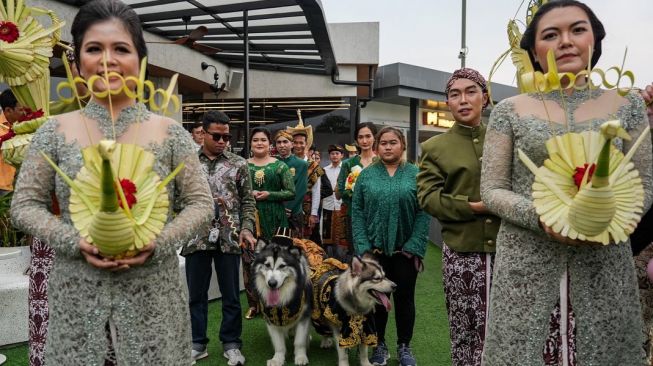 8 Potret Nikahan Mewah Anjing Jojo dan Luna, Habiskan Rp200 Juta untuk Gelar Kawinan Adat Jawa