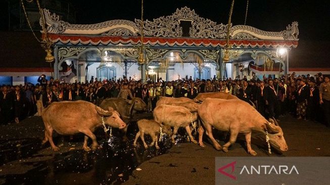 Termasuk Mengobrol dan Bercanda, Ini Sederet Larangan Bagi Peserta Kirab Pusaka Malam 1 Suro Keraton Solo