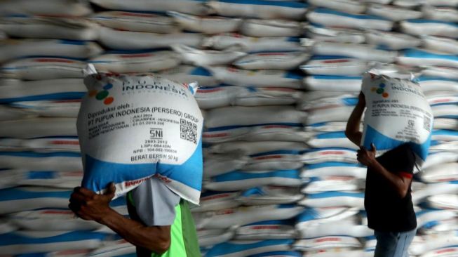 2024, Lampung Dapat Alokasi Pupuk Subsidi Urea 204 Ribu Ton