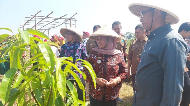 Bupati Sleman - Kustini Sri Purnomo bersama Ketua Yayasan AHM Ahmad Muhibbuddin sedang melihat area pengembangan Desa Bendosari, Sleman- Yogyakarta [PT AHM].