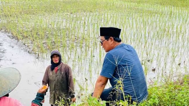 Hadapi El Nino, Kalsel Siap Jadi Penyangga Pangan Nasional