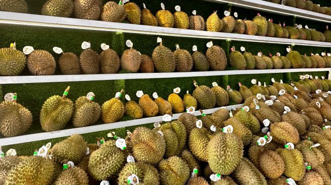 Rasanya Bikin Ketagihan, Durian Parigi Moutong Andalan Sulawesi Tengah untuk Ekspor