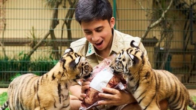 Alshad Ahmad Bereaksi Usai Disalahkan Jadi Penyebab Anak Harimaunya Mati Gegara Keseringan Dijadikan Konten