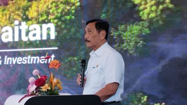 Luhut Tiba-tiba Jengkel ke 700 Perusahaan Sawit di RI