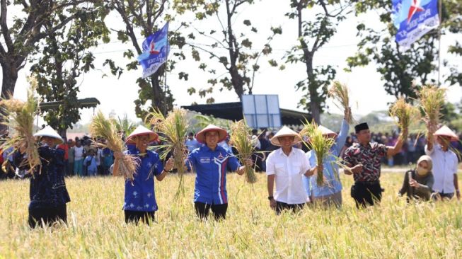 Dialog Langsung Dengan Petani, Ibas Demokrat Soroti Ketersediaan Pupuk Sulit Didapat Dan Mahal