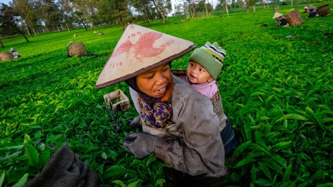 Tekan Angka Stunting, PNM Gelar Edukasi Gizi Anak untuk 15.000 Nasabah