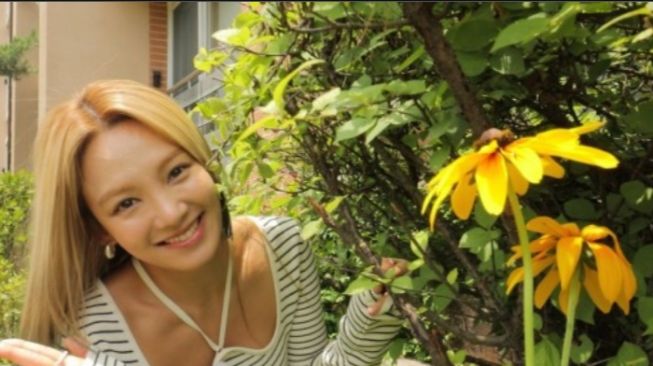 Tinggal Bareng Yuri, Hyoyeon SNSD: Agensi Beri Rumah Besar, Kenapa Pindah?