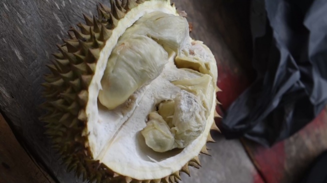 Nikmatnya Durian Selat Jambi, Rasanya Menggugah Selera!