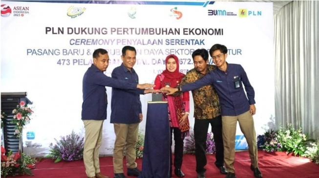 Produksi Padi di Demak Naik 2X Lipat Berkat Electrifying Agriculture PLN