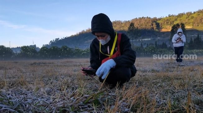 BREAKING NEWS! Kawasan Dataran Tinggi Dieng Diselimuti Embun Es Pagi Ini, Minus 3,5 Derajat Celcius