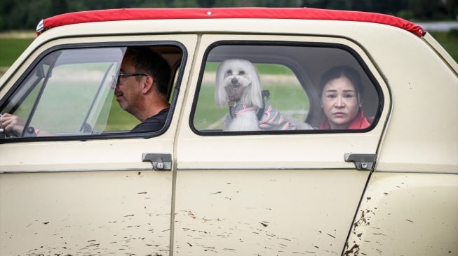 Peserta mengendarai mobil mereka saat pertemuan Dunia ke-24 Citroen 2CV Friends di dekat Delemont, Swiss, Rabu (26/7/2023). [GABRIEL MONNET/AFP]