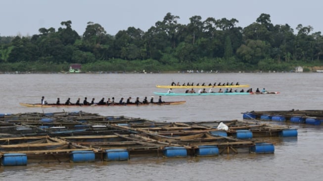 Seru! Lomba Perahu Tradisional Festival Candi di Muaro Jambi