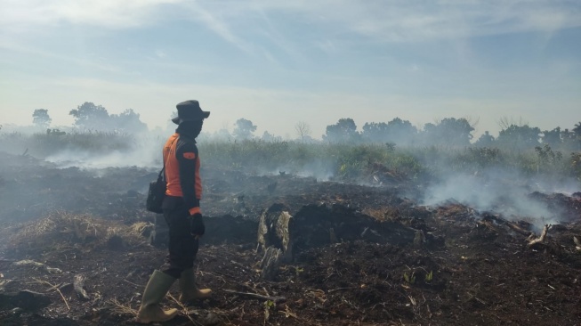 BREAKING NEWS: 1.481 Hektare Lahan Terbakar, Kualitas Udara di Kubu Raya Masuk Zona Kuning