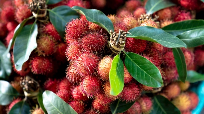 6 Manfaat Daun Rambutan bagi Kesehatan, Bantu Redakan Sakit Kepala