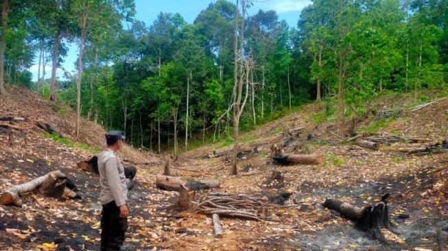 3 Lokasi Rawan Karhutla di Pesisir Barat, Dalam Pemantauan Polisi