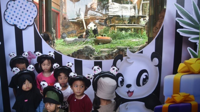 Sejumlah anak mengikuti perayaan ulang tahun Giant Panda Cai Tao di Istana Panda, Taman Safari Indonesia, Cisarua, Kabupaten Bogor, Jawa Barat, Sabtu (5/8/2023). [ANTARA FOTO/Arif Firmansyah/aww]