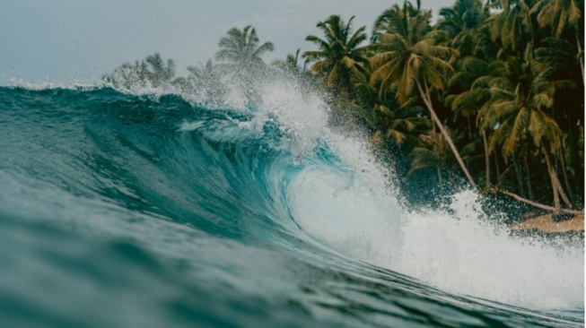 Ketahui Tanda-tanda Tsunami dan Cara Menyelamatkan Diri