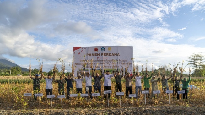 Pemberdayaan Petani Kedelai Jadi Upaya Harita Nickel Tepis Tudingan Kasus Kerusakan Lingkungan Pulau Obi