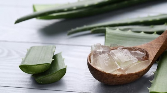 6 Manfaat Aloe Vera untuk Kecantikan Wajah, Mampu Atasi Bekas Jerawat!