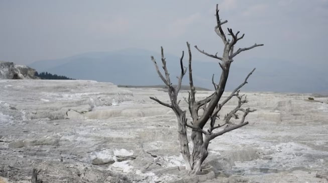 Antisipasi El Nino, Lampung Siapkan Strategi Jaga Ekonomi dan Stok Pangan