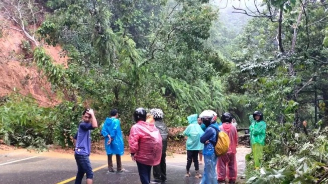 Longsor di Padang, Jalan Sumbar-Bengkulu Lumpuh