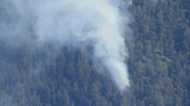 Kebakaran Hutan Terjadi di Kawasan Taman Nasional Bromo Tengger Semeru dalam 2 Hari Terakhir