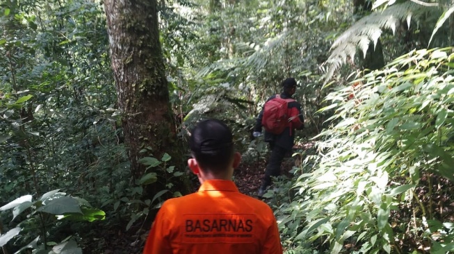 Dua Pendaki Hilang di Gunung Sibuatan, Terpisah dari Rombongan Saat Turun dari Puncak