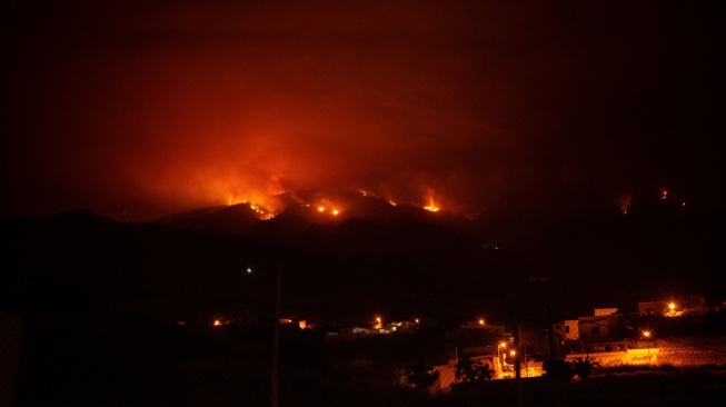 Penampakan kebakaran hutan di sebuah perbukitan di lembah Guimar, Tenerife, Kepulauan Canary, Spanyol, Sabtu (19/8/2023). [DESIREE MARTIN / AFP]