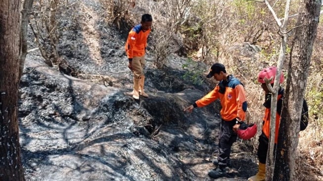 Kebakaran Lahan di Sendang Wonogiri, Nenek Parni Ikut Dilahap Si Jago Merah