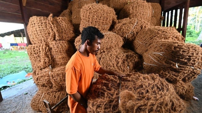 Berkat Pendampingan Antam, Produksi Petani Kelapa di Maluku Utara Meningkat