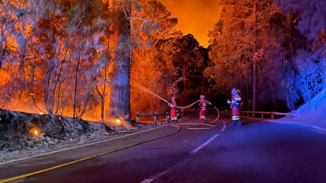 Petugas pemadam kebakaran berusaha memadamkan api kebakaran hutan di bagian timur laut Tenerife, Kepualuan Canary, Spanyol, Kamis (17/8/2023). [Handout / UME / AFP]