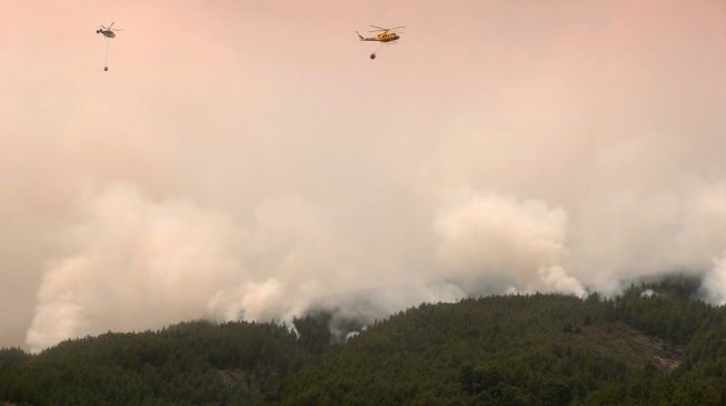 Dua buah helikopter menjatuhkan air untuk memadamkan kabakaran hutan di Tenerife, Kepulauan Canary, Spanyol, Minggu (20/8/2023). [DESIREE MARTIN / AFP]