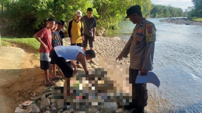 Heboh Penemuan Bayi Perempuan Baru Lahir di Pinggir Sungai Pesisir Selatan, Begini Kondisinya