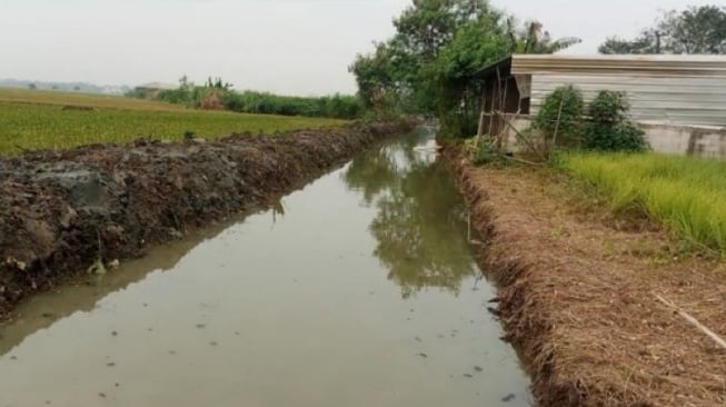 Senangnya Petani di Bekasi Dapat Bantuan Normalisasi Irigasi dari Kementan