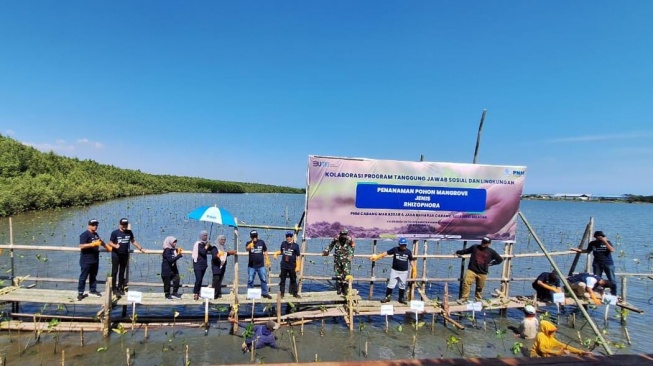 Rayakan HUT RI ke-78, PNM Tanam 22.000 Pohon Mangrove untuk Bantu Tekan Polusi & Stabilkan Ekosistem Pesisir